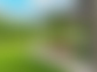 Vue globale d'une pergola noire