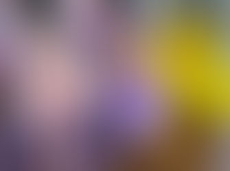 Fantasias de Carnaval em display