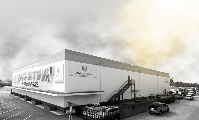 MEGACENTER PLAMETTO.