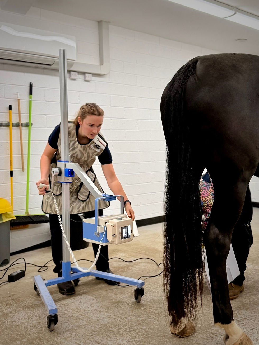 A team member carefully positions an X-ray machine in a clinical setting.