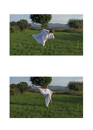 Balance-garden_1.jpg