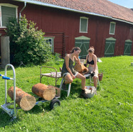 IMG_5801.jpeg