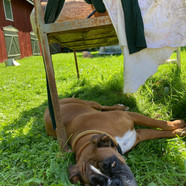 IMG_5931.jpeg