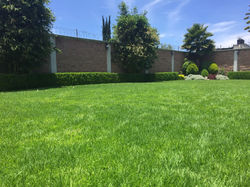 IMG-20180406-WA0013[1]