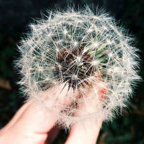 Allergies saisonnieres