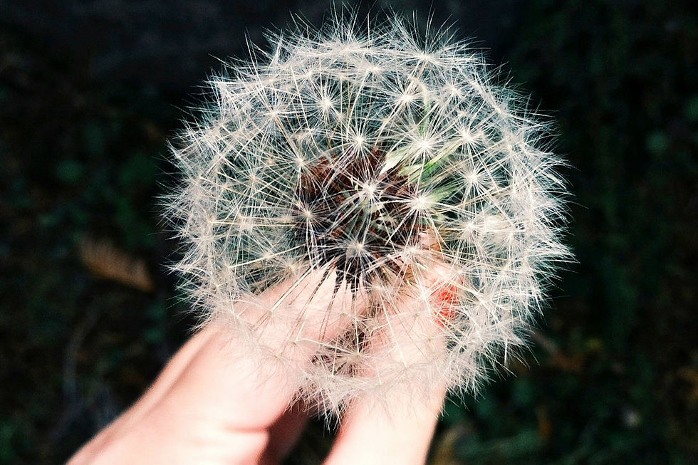 Allergies saisonnieres
