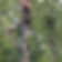 DAA8630B-5204-4989-B7BF-20C666E08517_edited.png