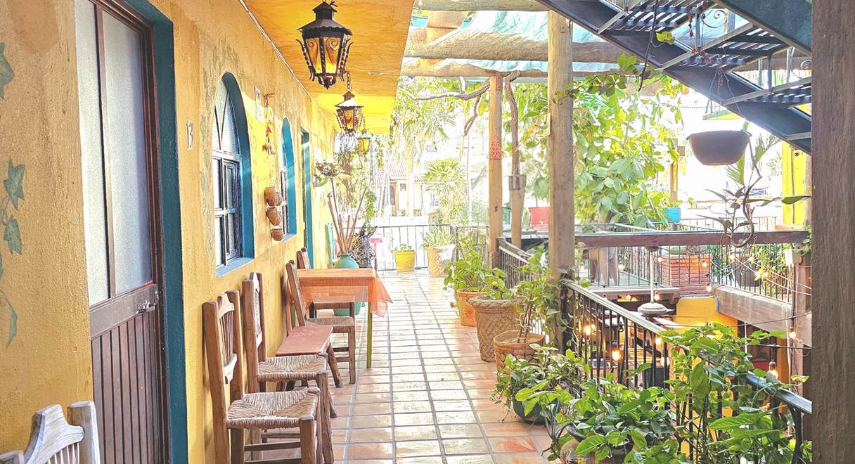 Cabo Inn Hotel courtyard: tiled walkway, plants, chairs