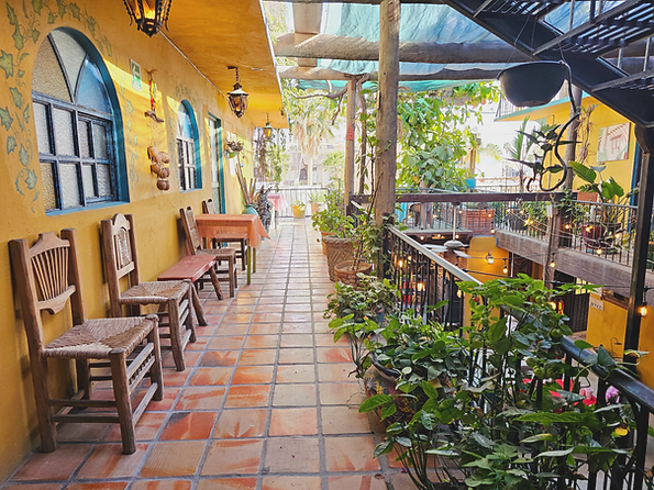 Cabo Inn Hotel courtyard: colorful chairs, plants, and tiled floor