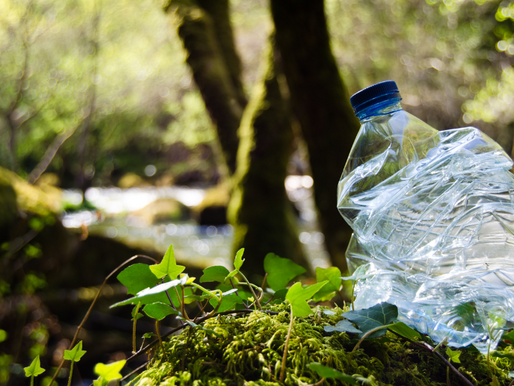 a crushed plastic bottle in a forest