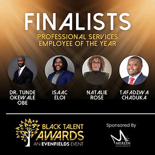 Professional services.jpg