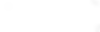 palms-background-white-transparent.png