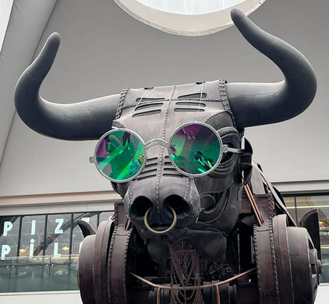 Ozzy The Bull Sunglasses
