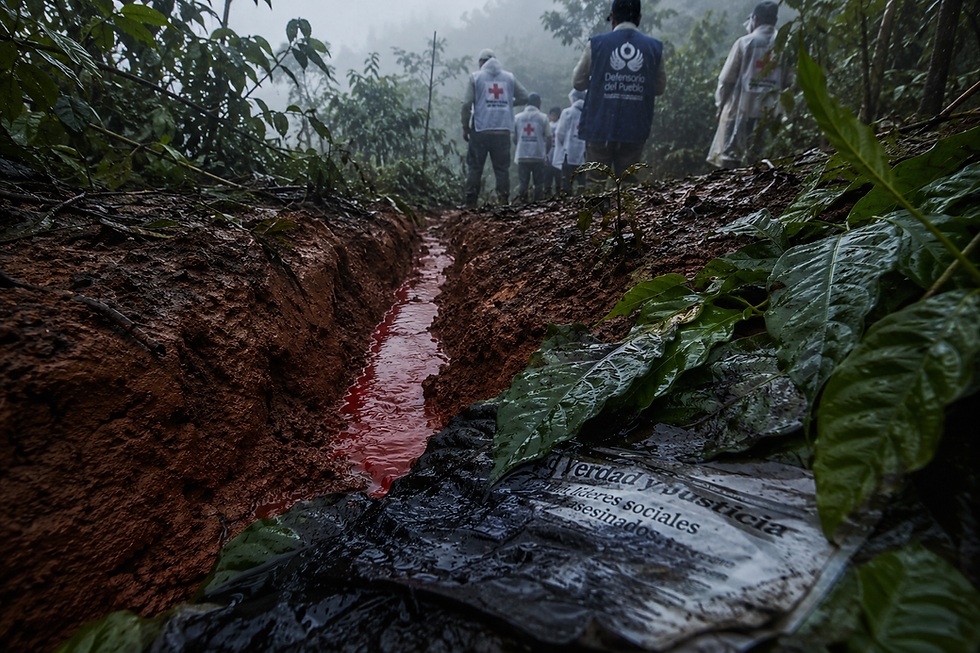 El rastro de la sangre sobre el verde antioqueño