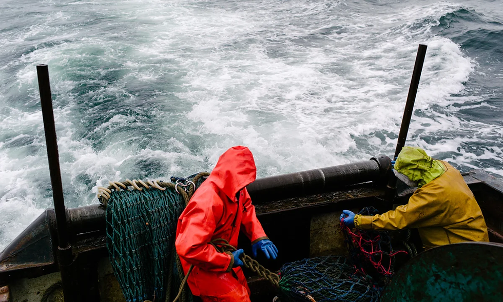 Fishing off Scotland. Migrant fishers on transit visas cannot enter the UK, so must live on the boats. - Credits: Keith Lloyd Davenport/Alamy