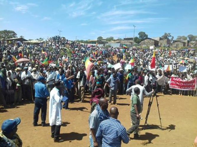 Protest in the Oromia region in 2016 - Wolkalit/Wikimedia Commons