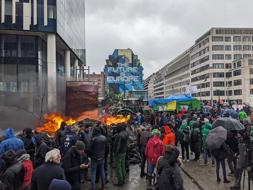 Enlargement or Paralysis: Can the EU Still Grow and Govern?