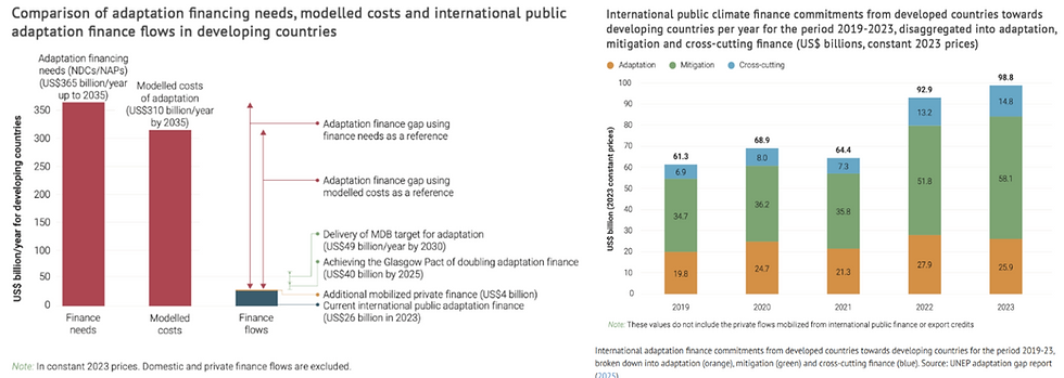 Figure 6 - Source: UNEP Adaptation Gap Report 2025)