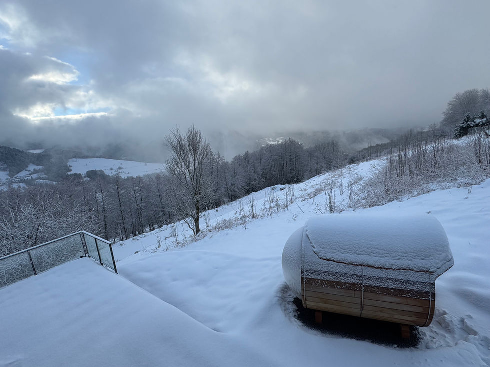 airbnb auvergne chalet luxe altus 1124 murat le quaire sauna