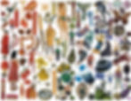 Emma Anna _ On the spectrum _ Cut out page copy 3.jpg