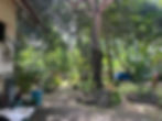 The aforementioned garden, great for anger absorption.
