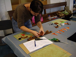 stagiaire au travail !.JPG