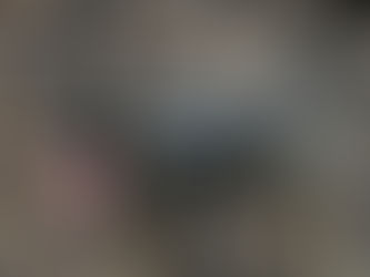 It's here! The WGSDCA Winter Edition