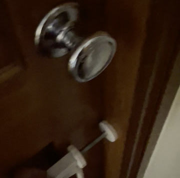 Week 8 – The Final Diary Chapter from the Crew of Seven