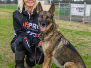 Donate Now | Aussie Aussie Aussie, Woof Woof Woof