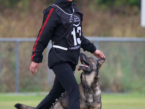 IPO National Championship 2017