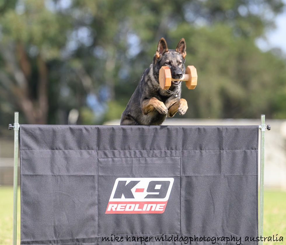 Circei du Soleil ZAP-W, AID, IGP2 BS2025-2026