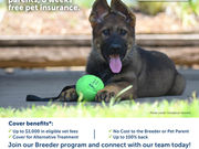Become a Petcover Breeder Partner