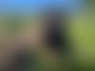 Week 5 – Diary of The Crew of Seven