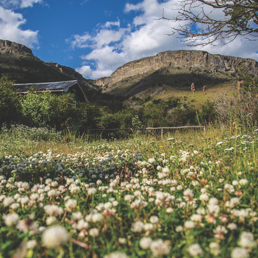 JOANNA-KALAFATIS_PATAGONIA - 13 of 16.jpeg