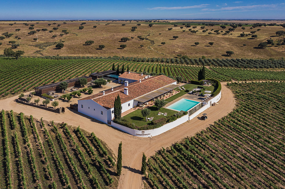©fredericducoutphotography-Drone-Herdade-da-Malhadinha-Nova-38.jpg