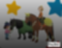 Pony stars.png