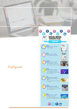 FC – Portfolio 8 – Social Media Content Planning and creation b.jpg