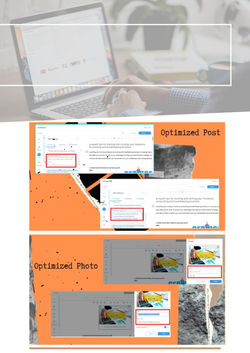 FC – Portfolio 14 – SEO On page optimization b.jpg