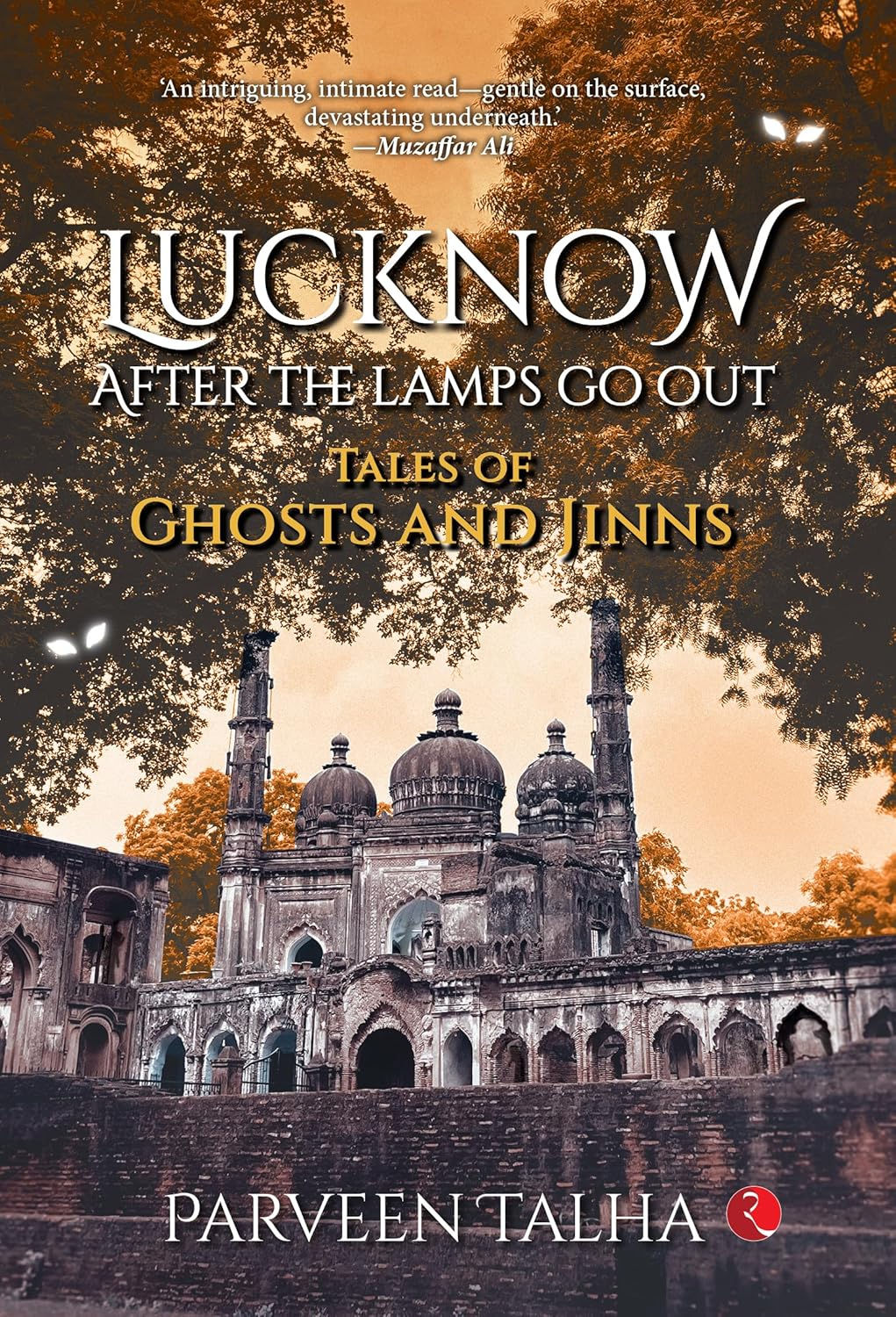 Lucknow, After the Lamps Go Out by Parveen Talha