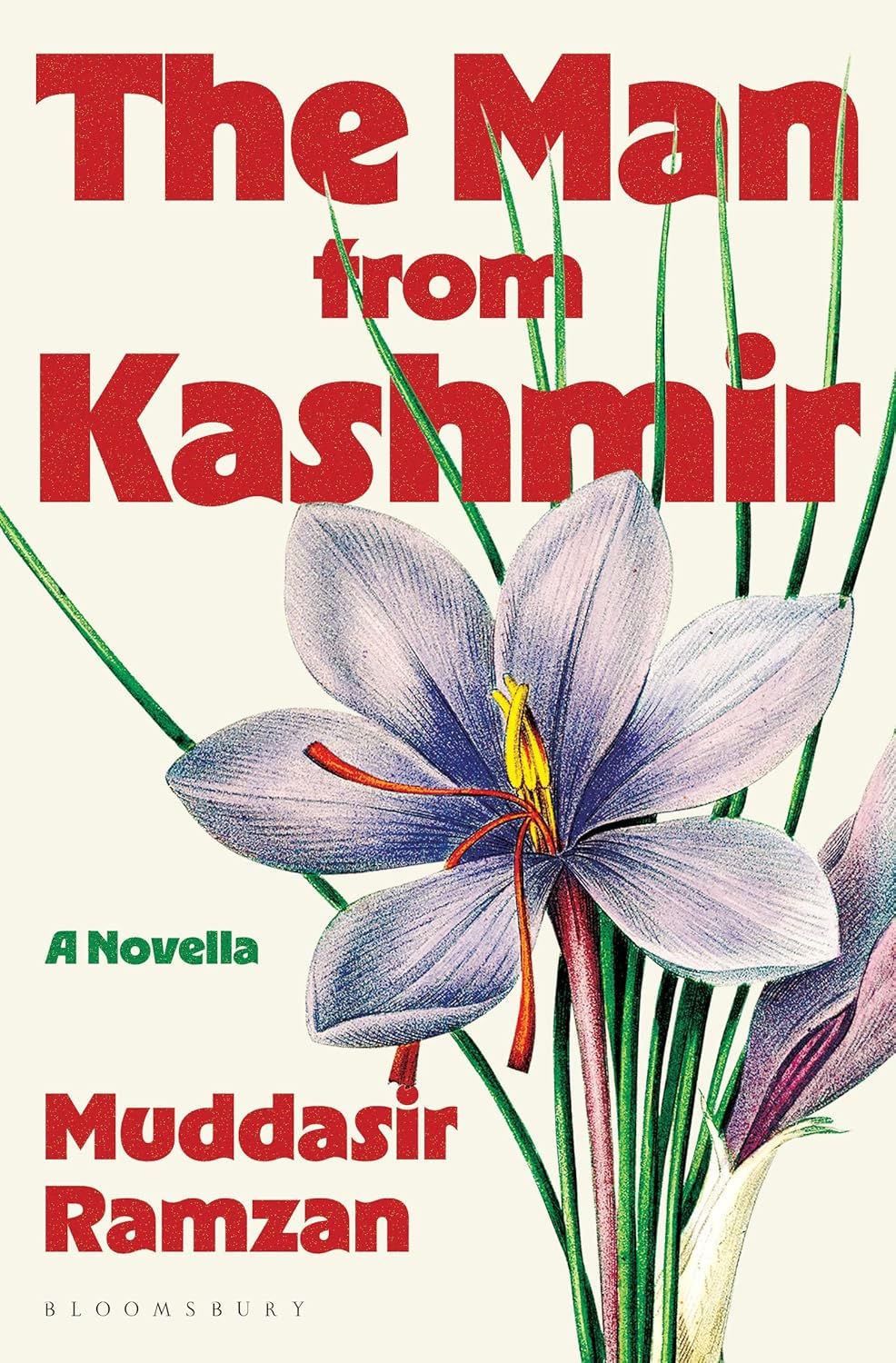 The Man from Kashmir by Muddasir Ramzan