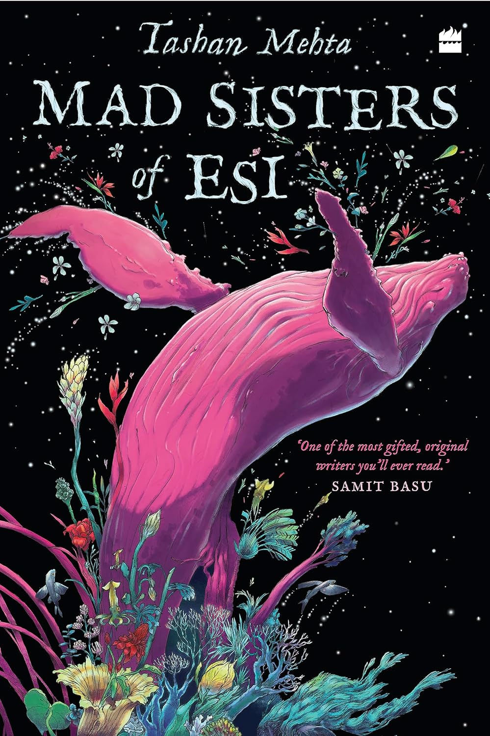 Mad Sisters of Esi by Tahsan Mehta