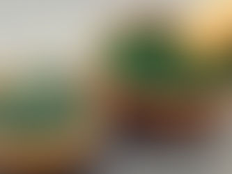 La spiruline , les bienfaits d'une algue verte !