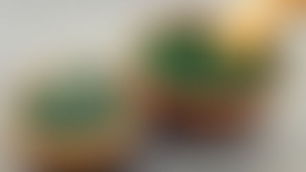 La spiruline , les bienfaits d'une algue verte !