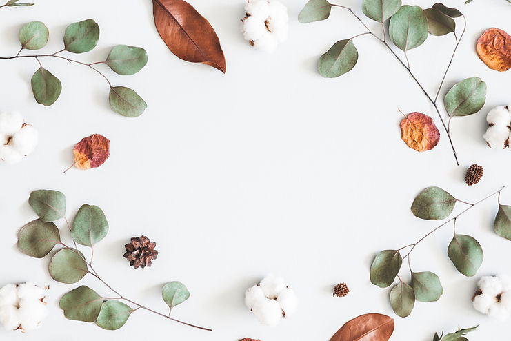 Autumn composition. Frame made of eucalyptus branches, cotton flowers, dried leaves on pas