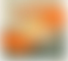 The Journey to Forgiveness