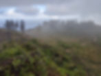 PXL_20230214_024239672.jpg