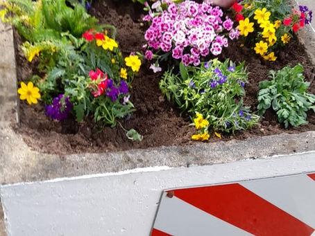 Der Frühling ist da