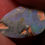 Thumbnail: 4.68ct Australian Dark Opal 16.9x10.4x4.0mm
