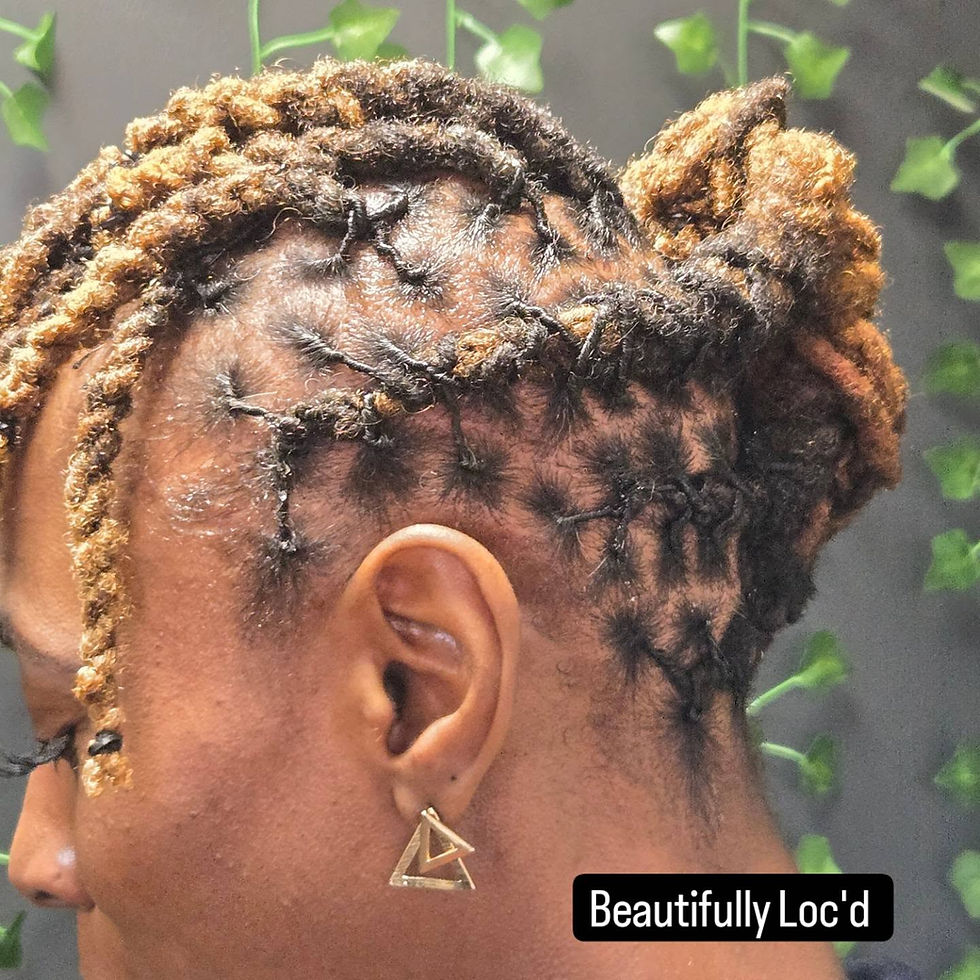 Close-up view of neatly maintained locs with a healthy scalp