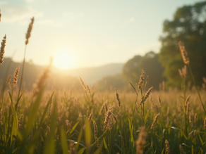 The Benefits of Choosing a Holistic Approach to Life